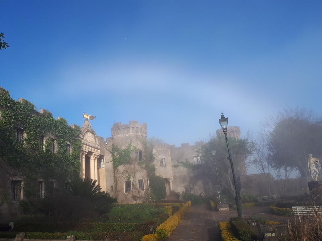 Flycatcher castle deals